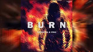 Hardwell & VINAI - Burn