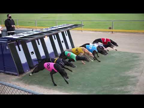 Greyhound Racing SA - Our Venues