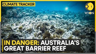 Coral reef suffers 'extensive' bleaching | WION Climate Tracker