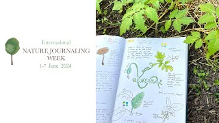 International Nature Journaling Week 2024 - Next Steps...