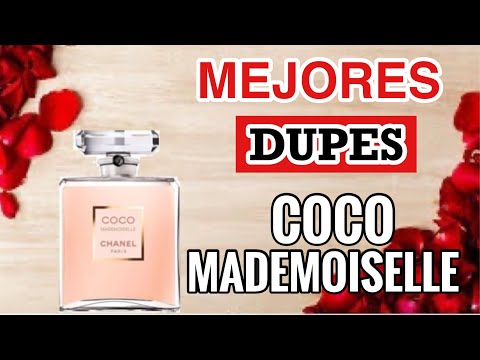 3 Dupes de Coco Mademoiselle que SI VALEN LA PENA 👌 / Vistiendo