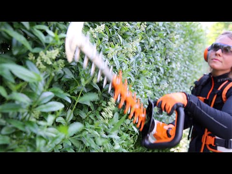 STIHL HSA 94 R hedge trimmer review