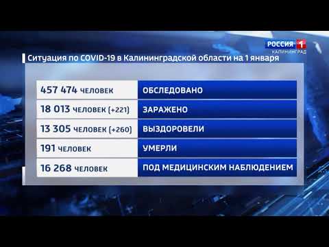 В Калининградской области за сутки подтвердили 221 случай COVID 19