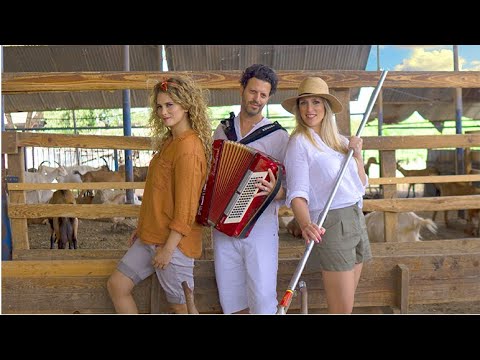 צבריות הורה ממטרה Tzabariot Hora Mamtera 