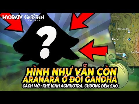 Video Gỡ Rối 