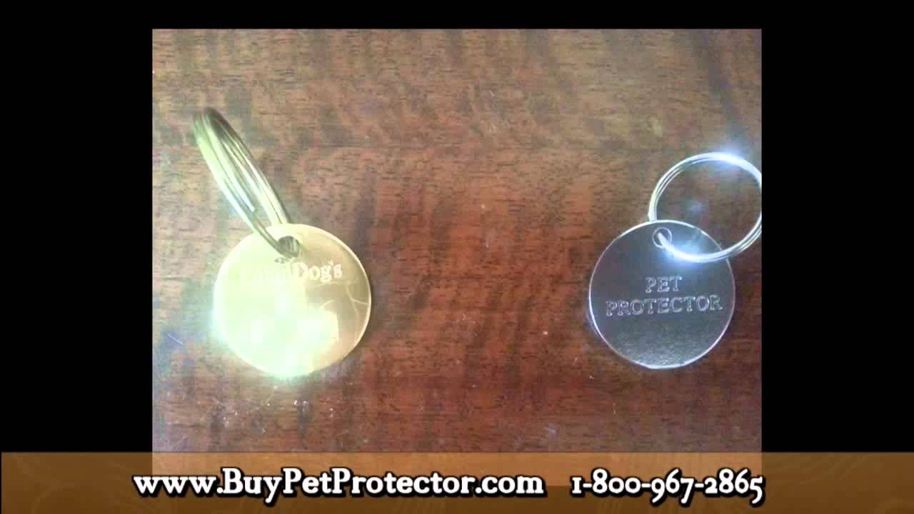 Dog Flea Tick, Fleas Or Ticks, Catan Dogs, Dog Medallion, Pet Protector