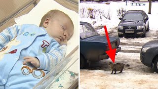 This Baby Is Abandoned And Left To Freeze To Death – But Now Watch What This Cat Does