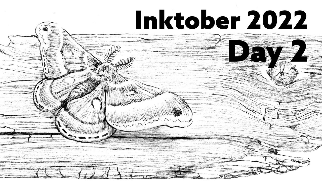 Inktober 2022 Day 2 - YouTube