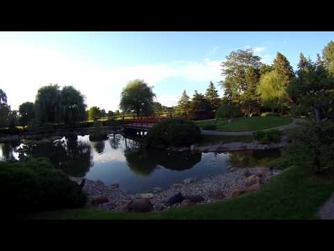 Normandale Community College Japanese garden