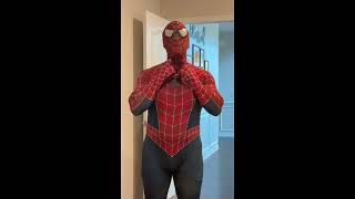 Spiderman Avi Style