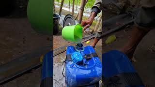 The process of making bitter melon plant nutrients -Agriculture farming #shorts