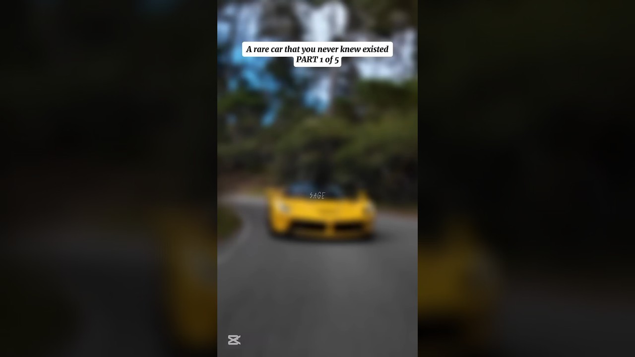 A rare car you didn't know about