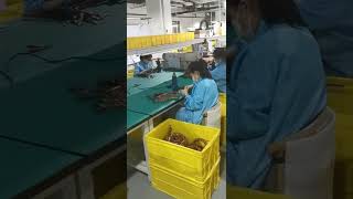 Professional harness assembly, orderly and tidy wiring