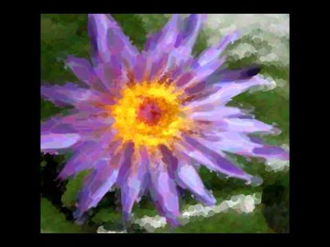 Video painting with spatio-temporal-varying style parameters