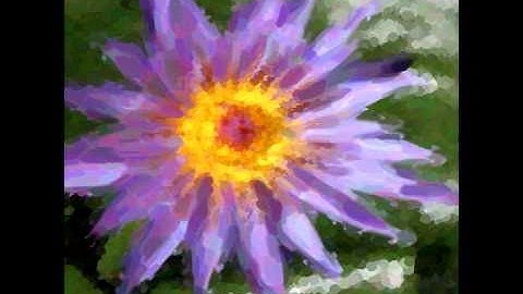 Video painting with spatio-temporal-varying style parameters