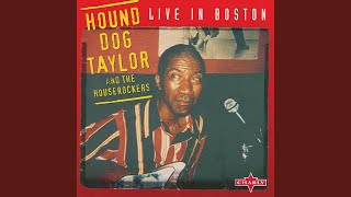 Video thumbnail of "Hound Dog Taylor - Goodnight Boogie - Live"