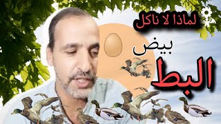 لماذا لا ناكل بيض البط/Why don't we eat duck eggs/كلمات