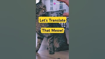 Secret Language of Cats
