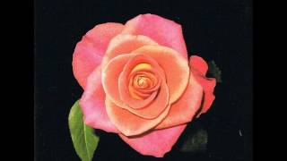 Agents Of Abhorrence - Shock Treatment