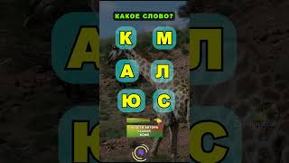 Кто разгадает это слово первым