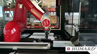 Bin Picking & Part Conditioning solution 1 / Dévracage et conditionnement de pièces
