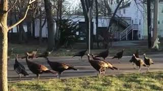 How To Summon Ronald Mcdonald At 3 Am