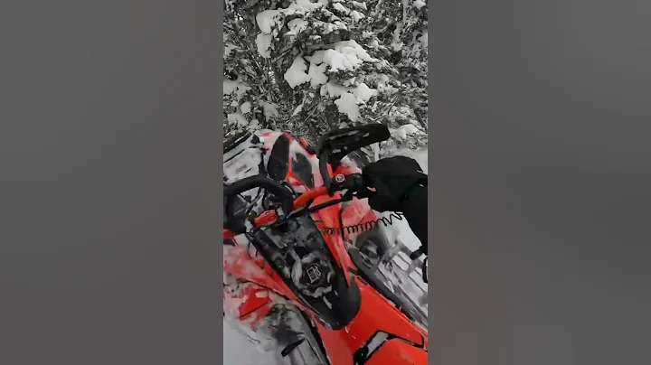 Ski-Doo Tree Riding with Tony Jenkins