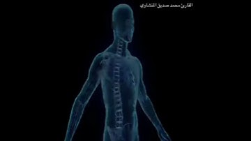🕌سورة التين والزيتون حالات وتس بصوت يخشع القلوب😌