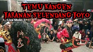 Jaranan Selendang Joyo live molin 3 surabaya