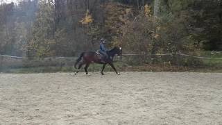 Tomik a Caramel test 3e 20161104