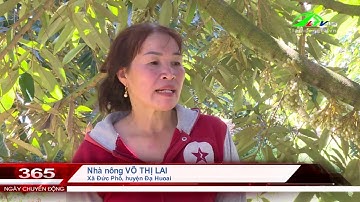 Giải pháp phát triển nông nghiệp toàn diện, bền vững| Lâm Đồng TV