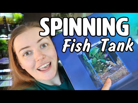 This BETTA tank SPINS 😲 V2 Vista Cube Unboxing
