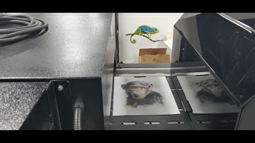 Non woven fabric bags use single pass digital printer to print color patterns