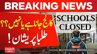 College-Going Students Across Punjab Worried Education News Hum News Stan