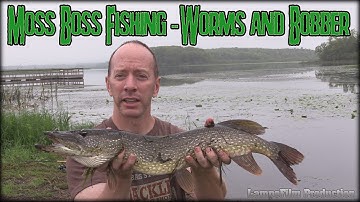 Memancing dengan Umpan Moss Boss dan Bobber | Cara Menggunakan Umpan Top Water untuk Ikan Pike Utara