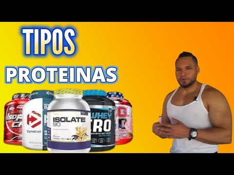 Vídeo: Diferencia Entre Proteína De Suero Y Proteína