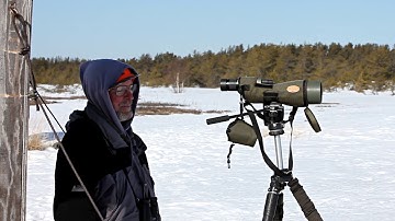 Intro to Hawk Watch Tablet Data Entry