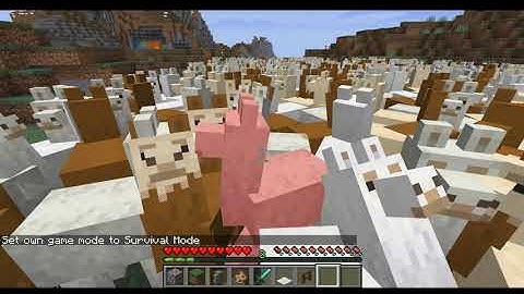 Starting a Minecraft llama war