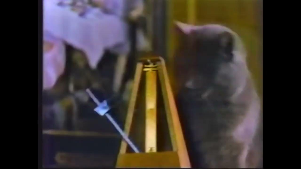 Type Beat X Tyler The Creator X Brockhampton X Makala X Varnish La