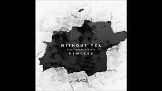 Avicii - Without You Feat.  Sandro cavazza ( DJ DjBillje Remix )