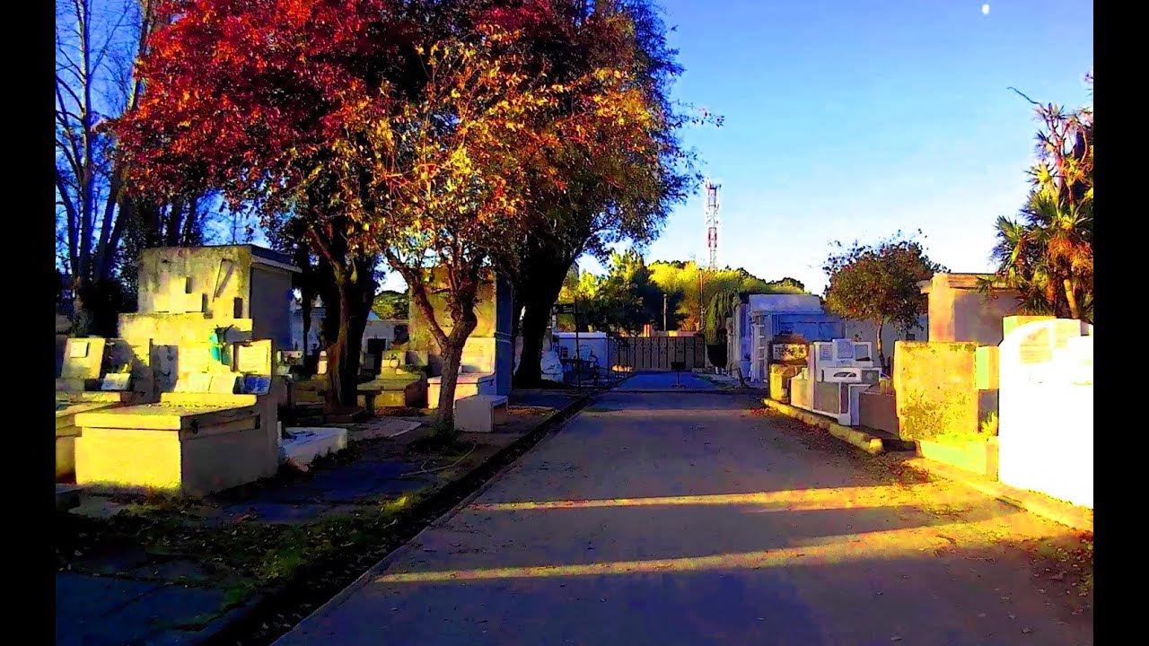 Conducir por Cementerio en otoño driving through cemetery in autumn