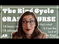 The Ring Cycle CRASH COURSE | AD | Avi Green