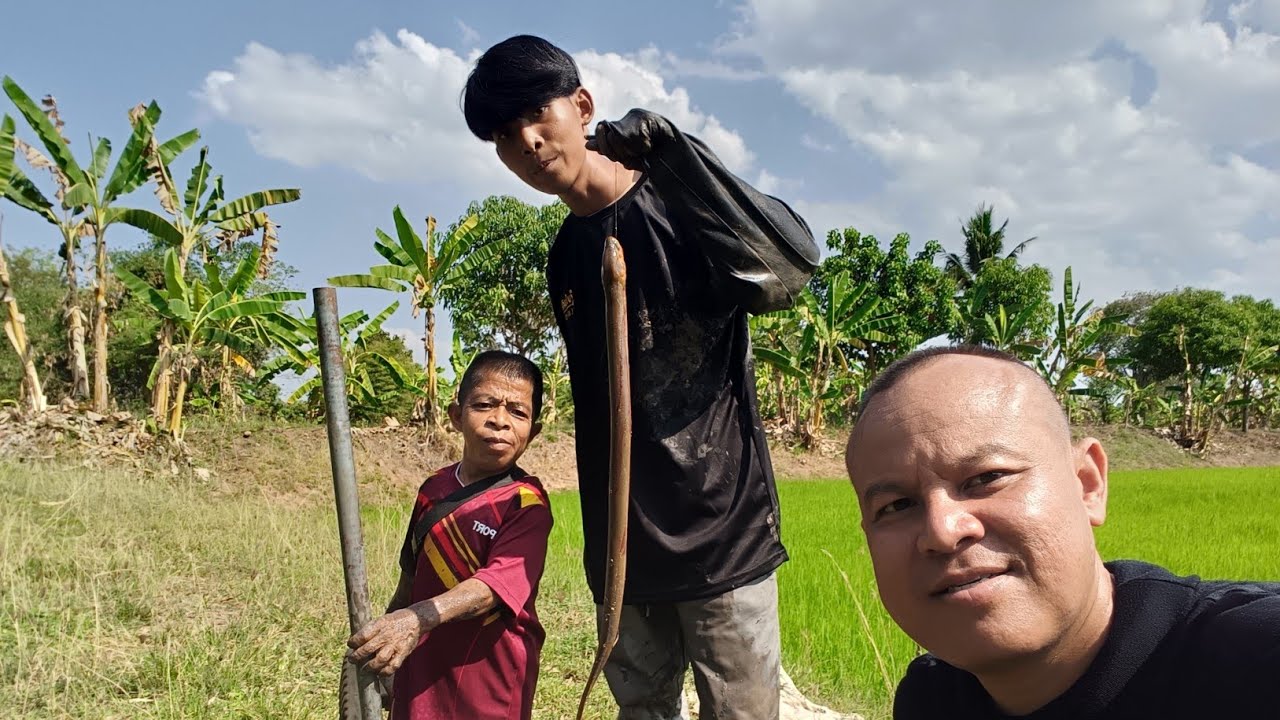 อาวสูงกับลูกชายได้ปลาไหลตัวใหญ่เด้อวันนี้