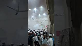 ALL PROBLEMS SOLUTION JALALI RUHANI ILAJ MIRA DATAR DARGAH SHARIF CONTACT NUMBER +91 9879592386