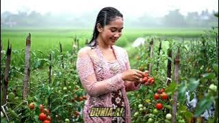 Beauty in the Rain: A Javanese Girl’s Touch #beauty #rain #viralvideo