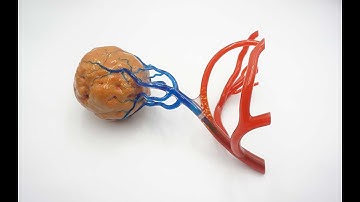 PolyJet 3D Printing Service - Multi-color Multi-material Resin 3D Printing | DEED 3D