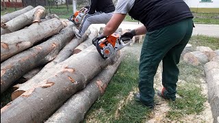 stihl ms 500i &amp; stihl ms 261c