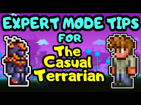 Terraria Expert Mode Guide and Tips for Beginners! Meteor Armor Rush Progression! Expert Playthrough