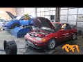 What does a Subaru, Srt4 and Crx have in Common?  They all Rip!