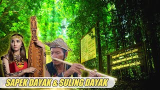 Relaksasi Suling Dayak dan Sapek Dayak